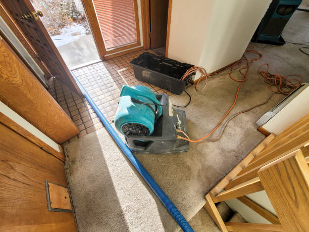 Water damage restoration process in Palmer, TX