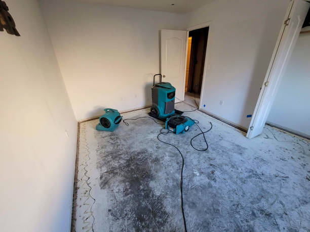 Best Water damage cleanup near me  in Palmer, TX