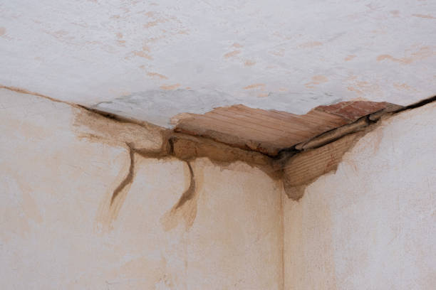 Best 24-hour water damage restoration  in Palmer, TX