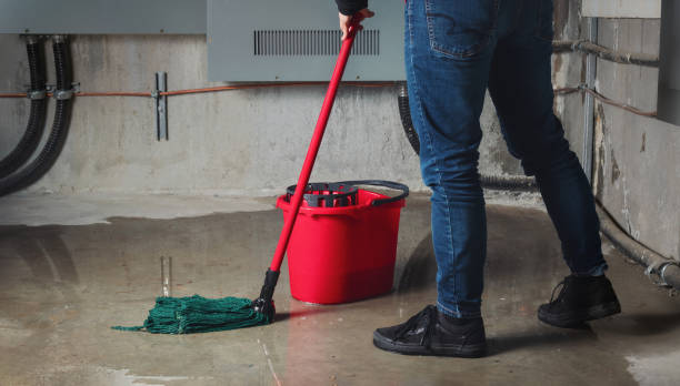 Best Water damage restoration near me  in Palmer, TX