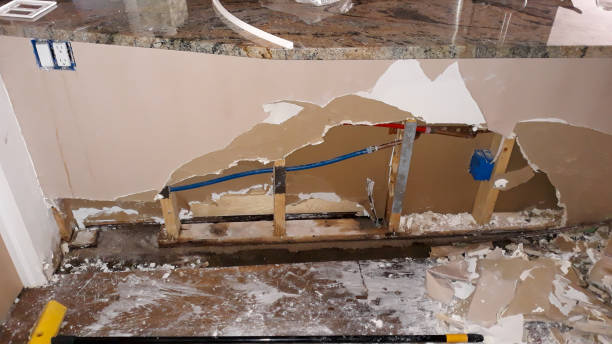 Best Commercial water damage restoration  in Palmer, TX
