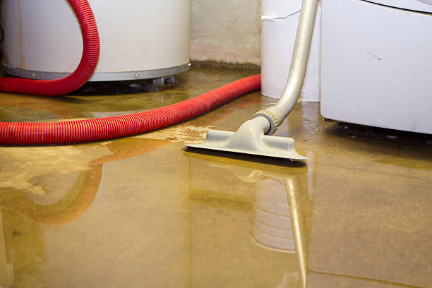 Best Flooded house restoration  in Palmer, TX