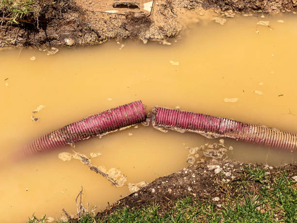 Best Residential water damage restoration  in Palmer, TX