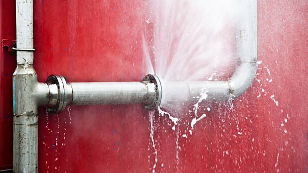 Trusted Palmer, TX Water damage restoration Experts